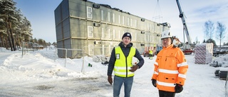 Här får Luleå en ny skola på 14 veckor • Modulerna tar form på Hertsön