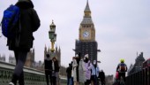 "För sent" med brittisk lockdown till nyår