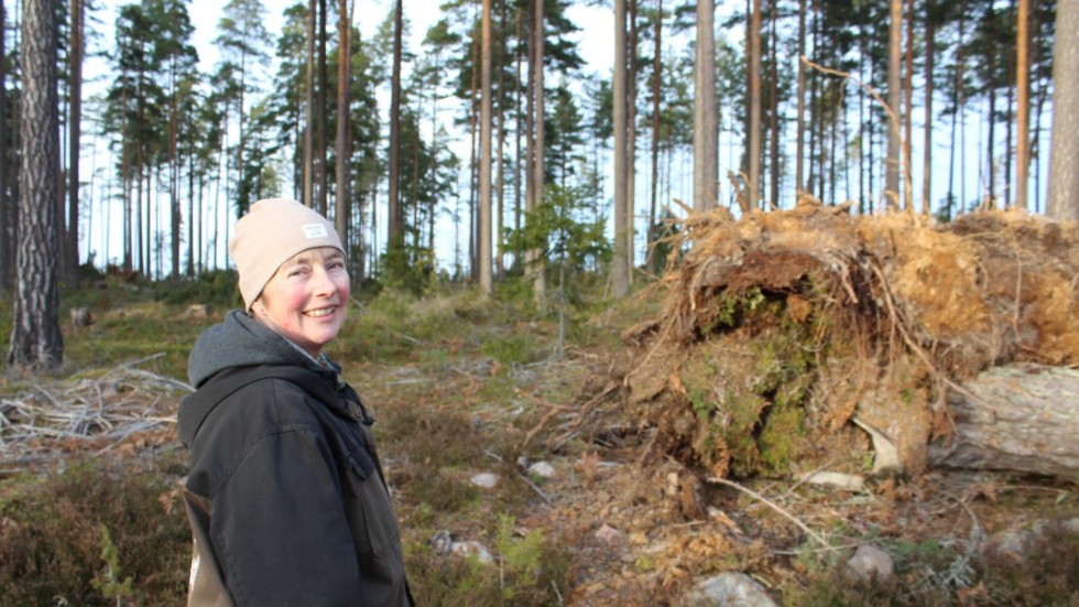 "Hoppas bara att det inte kommer en monsterblåst snart igen så att ungträden hinner växa till sig", säger Kristina Lindelöf.
