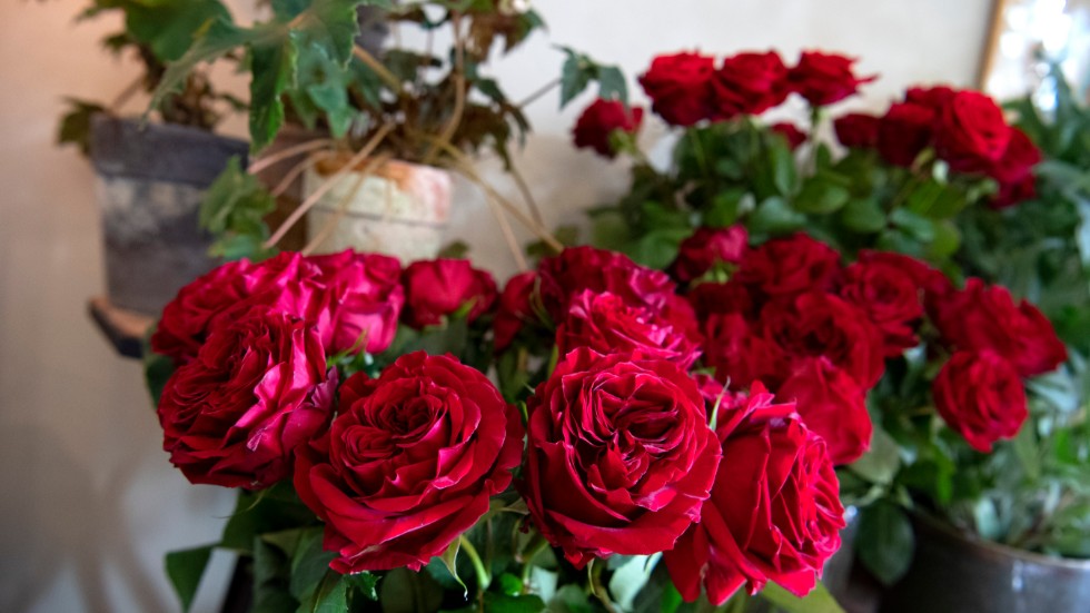 Du kan ge din sambo en bukett rosor som bidrar till schysstare arbetsvillkor och bättre mödravård i Kenya, skriver ordförande för Fair Trade Shop i Norrköping.