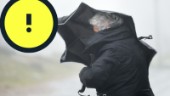 Våren får vänta – kan bli snö till helgen • "Hoppig" prognos gör läget osäkert