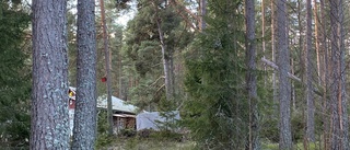 Byggnad riskerar att få träd på sig • "Behöver få fram en skogsmaskin snabbt"