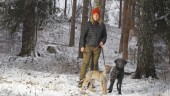 Vargrädslan sprider sig bland djurägare i Ärla – har eskalerat senaste året: "Påverkar hela samhället"