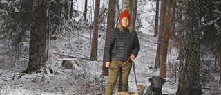 Larm om vargattack utanför Eskilstuna – rädslan sprider sig bland djurägare