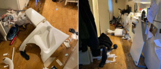  Hällde tändvätska på polis • Slog sönder lägenheten • Fängelse för mannen som gick bärsärkagång i Umeå