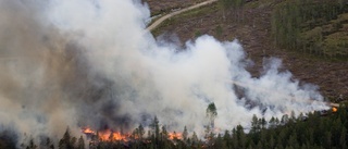 Stort skogsområde i brand