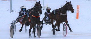 Bodenhästen Tåga Storm öppnade säsongen i Skellefteå – Trippelseger till Hanna Olofsson 