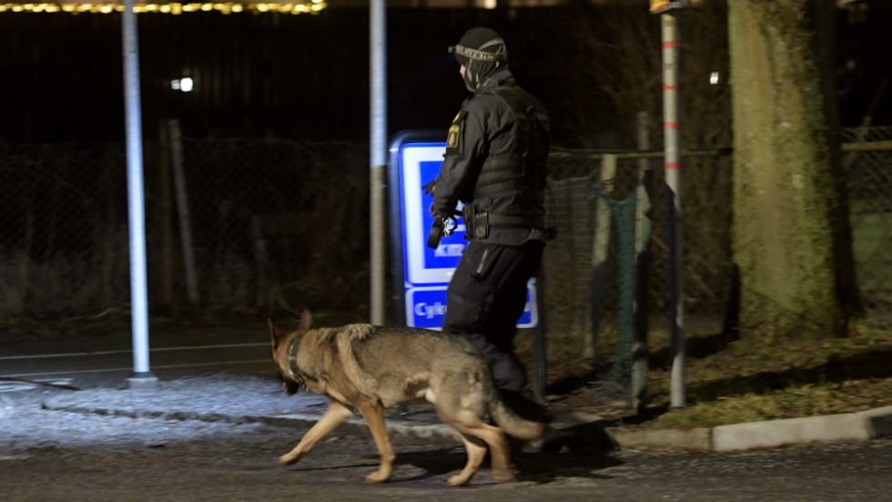 Polis med hund arbetar i Solna norr om Stockholm efter att en man har skjutits.