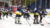 Jätteintresse för hockeyskolan • Istiderna räcker inte till • Rektor Öhman: ”Barnen ska känna sig som hockeyproffs här”