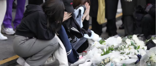 Studenter från länet på plats i Sydkorea dagarna efter trängselkatastrofen: "Alla är helt förstörda" • Över 150 dog i halloweentragedin