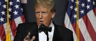Rapporten: Trump borde inte få bli president