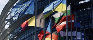 EU-topp avstängd efter korruptionsmisstankar