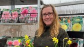 Blomsäsongen är igång i Västervik 