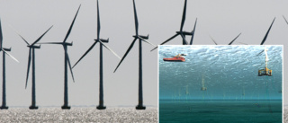 Två enorma vindkraftsparker utanför Gotland