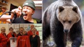 Hängivna föreningar, säkra band och varning för nallar