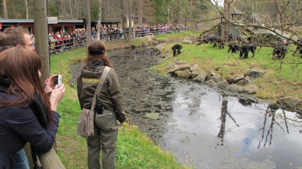 Genom unika skapelser som Kolmårdens Djurpark kan Sverige locka till sig mer exportintäkter, anser Per Frankelius. Bilden från Kolmårdens djurparks aparium.