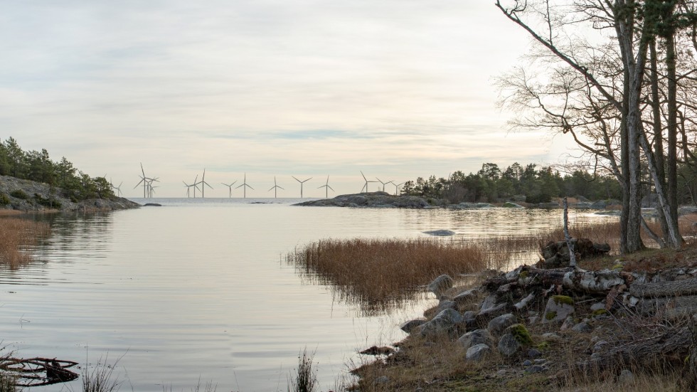 Medborgarnas åsikt om vindkraftsetableringar bör helst inhämtas genom folkomröstningar, skriver Björn Kjellström (MP).