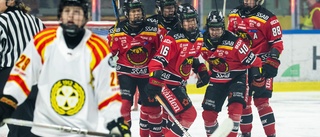 Guldfest i Coop Arena – Luleå Hockeys sjätte SM-guld