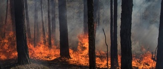 Bränder och utsläpp är varningssignaler