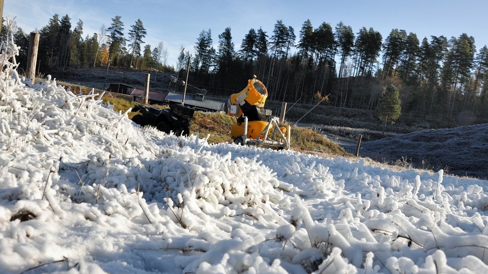 Ett första lager av extra hållbar konstgjord snö täckte delar av backen sedan de nya snökanonerna varit igång under natten. Till höger syns delar av den under flis sparade snöhögen.