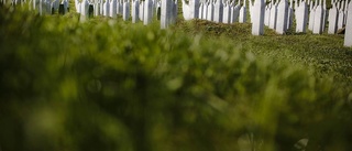 Bo Pellnäs: Erdogan, Holland och Srebrenica