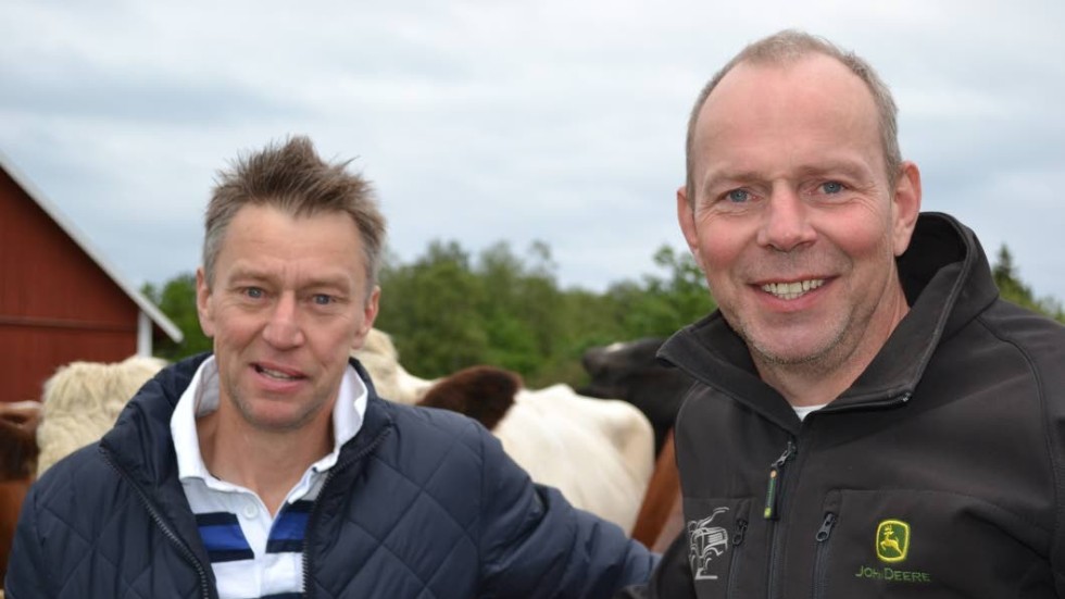 Bröderna Kalle och Lasse Sand norr om Eksjö öppnar sin gård för Hushållningssällskapets sommarmöte den 31 augusti.