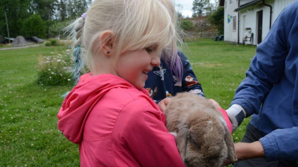 Selma Anemyr var snabbt framme hos Annelie Svensson när den lilla kaninen fick komma ut ur buren.
