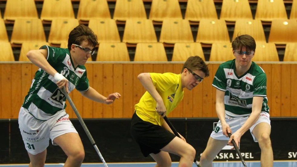 Ledberg och Mjölby gjorde upp i en jämn semifinal i Linköpings sporthall. Ledberg gick vidare och föll i finalen.