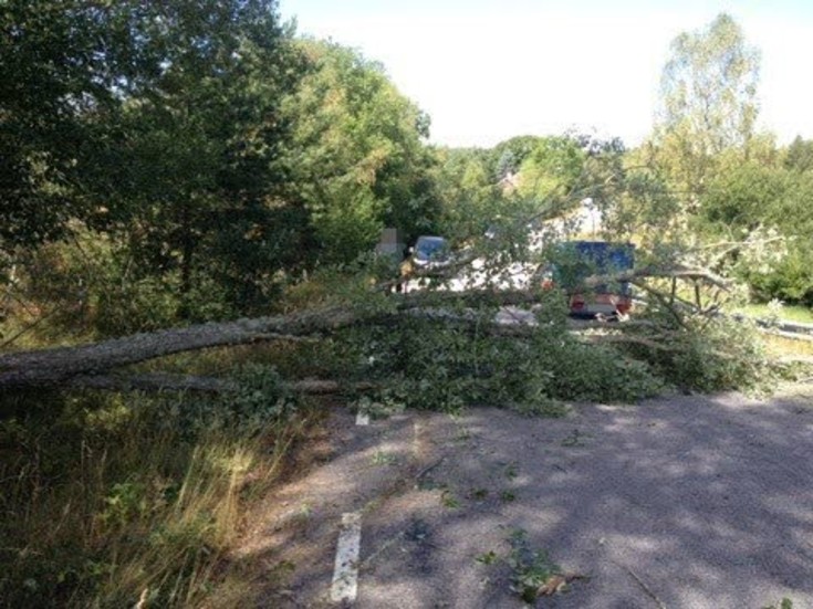 Ett stort träd föll rakt över vägen och träffade barnfamiljens bil som just då råkade passera.