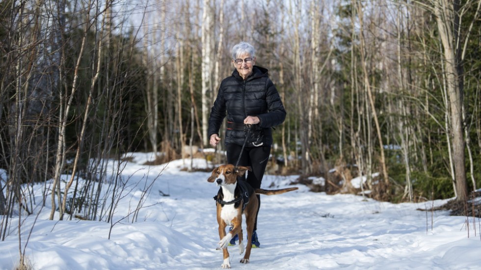 Något Anita Granberg saknar är en träningskompis. Men det blir många pass tillsammans med hunden Iris, en femårig finsk stövare.