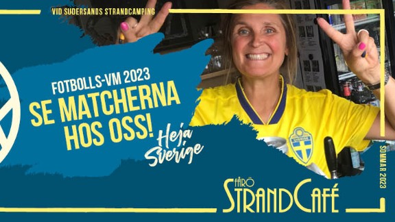 SVERIGE-SYDAFRIKA Fotbolls VM 