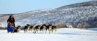 Lugnt och jämnt tempo gav nionde plats i 50-milatävling