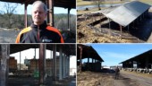 Efter storbranden i Fröreda: "Vi hade tur i oturen"