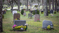 Kyrkan ville ta bort gamla gravstenar – får nej
