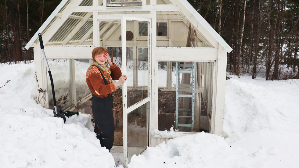 "Now it's really kicking off, just as I've been longing for!" exclaims Anne Sandlund as she embarks on the annual "excavation" of the greenhouse. It enables winter sowing—a "sneak start" to the gardening season.