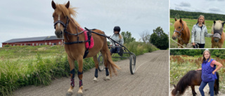 Stora drömmar med liten häst – Myra, 17, är sällan nervös