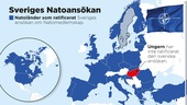 Ungern röstar om Nato på måndag