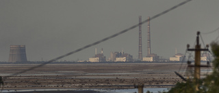 IAEA: Kärnkraftverk "farligt nära" en olycka