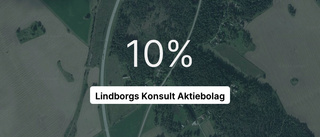 Explosiv intäktsökning för Lindborgs Konsult Aktiebolag