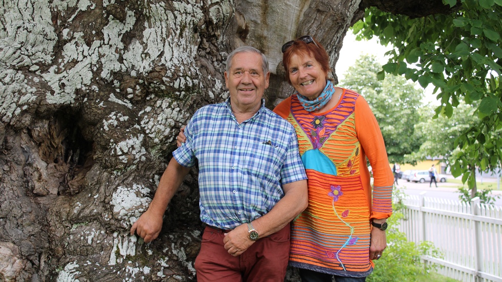 Cathrine Søberg och Øistein Smith Larsen förlovade sig under Sockerdricksträdet på Astrid Lindgrens Näs i juli 2008. Nu är de tillbaka på platsen igen: "Det känns jättefint och glädjefyllt att vara tillbaka i Vimmerby", säger Øistein Smith Larsen.