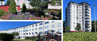 Linköping: Här får du fyra lägenheter för priset av en