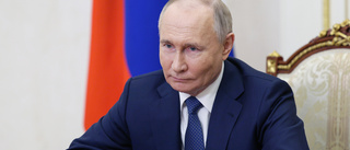 Putin hyllar Kina: Vill "lösa" kriget