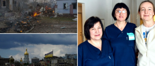 Deras liv i Ukraina raserades – nu ser de en framtid i Boden