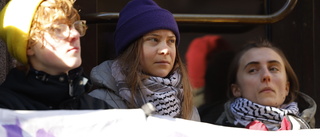Greta Thunberg blockerade dörrar till riksdagen
