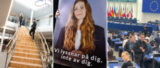 Två partier ryker – när Gotlands ungdomar får välja