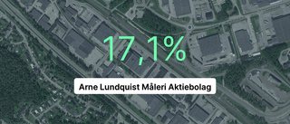 Arne Lundquist hade större omsättning än resten i branschen