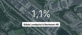 Pilarna pekar nedåt i rapporten från Städa Lundqvist & Backman AB