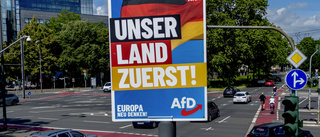 Tyskland vaknar upp efter EU-valet