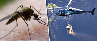 Mer pengar till myggbekämpning: "För lite och för sent"
