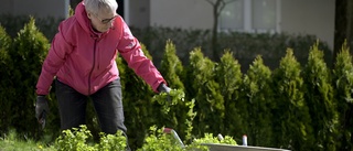 Faktum är att svenska pensioner är de mest ojämställda i Norden.